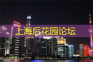 上海夜市美食大揭秘：你一定没尝过这些创意小吃！