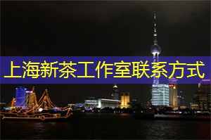 体验震撼的上海科技创新：探索令人惊叹的创新科技项目