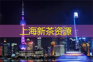 夜上海，释放身体与灵魂的共鸣