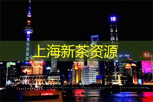 相亲圣地上海，最佳求偶栖身之选！