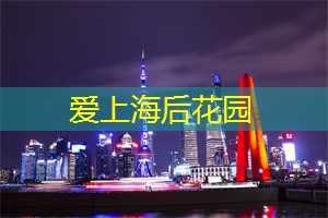网络情